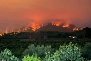 В Испании более 170 тысяч человек эвакуировали из-за лесных пожаров