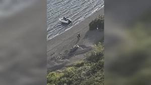 На Чукотке обнаружили живыми четверых пропавших на моторной лодке
