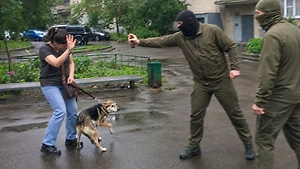 В Харькове людоловы напали на женщину и её собаку, распылив баллончик