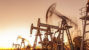 Индия подстраховалась — количество стран-поставщиков нефти выросло до 41