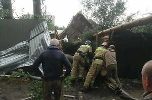 Пенсионер погиб под упавшей сосной во время урагана на Урале