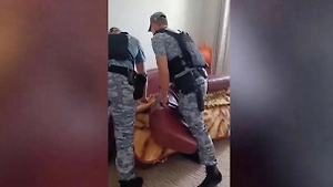 Гав справедливости: Собственная собака сдала приставам залезшего в диван неплательщика алиментов
