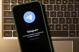 Юрист объяснил, можно ли пользоваться Telegram после объявления Дурова* в розыск