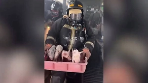 При пожаре на ферме в Курганской области погибли 2500 поросят