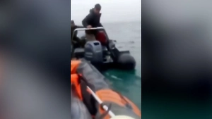 Гигантский тунец едва не потопил лодку рыбаков в Приморском крае