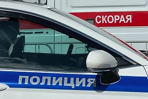 В Красноярске пьяная женщина избила 8-летнюю девочку, предложившую ей помощь