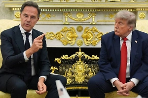 Рютте рассыпался в похвалах и признался в любви Трампу перед саммитом НАТО
