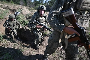 ВС РФ освободили Новониколаевку в ДНР