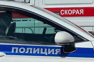 Сибирячка сломала нос школьнице и избила её подругу плоскогубцами из-за еды