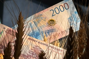 Финансист раскрыл, на сколько увеличились зарплаты россиян в долларах и кто от этого выиграл