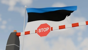 Эстонская таможня задержала санкционную сковороду у границы с РФ