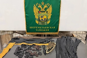 У россиянина в Шереметьево изъяли 64 части крокодилов — головы, лапы и кожу