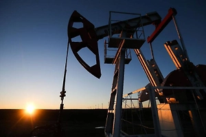 Оверчук: Доля ненефтегазовых доходов бюджета России продолжает расти
