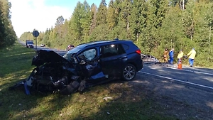Двое взрослых и ребёнок погибли в лобовом ДТП на трассе «Кола» в Ленобласти