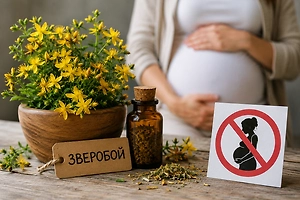 Не такая уж безобидная трава: Беременных предупредили о смертельной опасности зверобоя