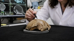 Череп Homo antecessor возрастом 850 тысяч лет оказался современнее ожидаемого