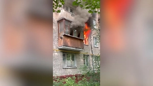«Горит всё, там люди!» Эмоциональное видео от хозяйки квартиры, которую спалила нежелавшая съезжать пенсионерка