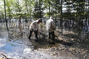 В Тюмени за неделю собрали более четырёх тонн рыбы, убитой паводком