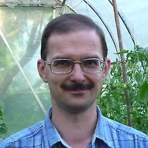 Спиливают ясенелистный клён так же, как и все остальные деревья: аккуратненько, и лучше, чтобы это делали специально обученные люди. Проблема заключается в том, что после того, как его спилят, он даёт многочисленную поросль от пня. Поэтому, спилив дерево, нужно либо раскорчевать и удалить пень, либо использовать другой вариант: можно свежий спил помазать неразведённым гербицидом.