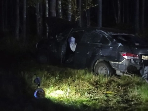 В Архангельской области опознали семь из 13 погибших в ДТП