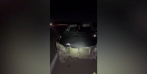 Два человека погибли после столкновения иномарки с мотоциклом в Бурятии