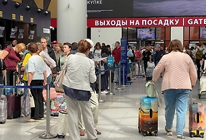 Птица «атаковала» самолёт во Внуково — туристы уже 10 часов не могут вылететь в Турцию