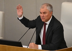 «Женщин таскали за волосы»: Володин вспомнил времена драк в Госдуме