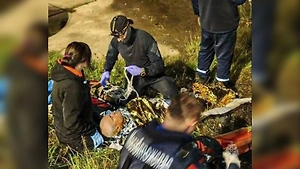 91-летнего пенсионера нашли в болоте спустя 15 часов в Подольске