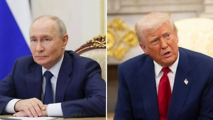 Песков прокомментировал слова Трампа о новом саммите с Путиным