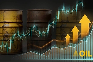 Нефть могла подорожать на $30: Как Китай перехватил инициативу у ОПЕК