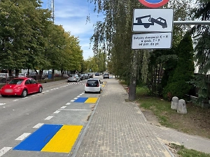 «Специально для украинцев?»: Сине-жёлтая парковка у школы вызвала скандал в Польше