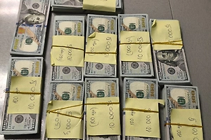 Россиянка прилетела из Грузии со $105 тыс. и попала под уголовную статью