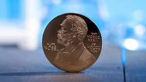 Экс-посол США Макфол пристыдил Трампа за принятие чужой Нобелевской премии