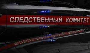 В Москве арестован шантажист, распространивший порно с несовершеннолетней