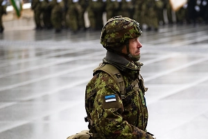 Эстония пообещала отправить солдат на учения в Гренландию, несмотря на угрозы Трампа