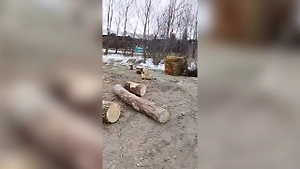 Неизвестные разгромили крещенские купели на Ставрополье