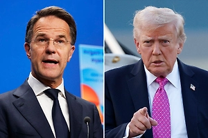 Рютте обсудил с Трампом вопросы безопасности в Гренландии и Арктике