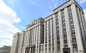 В Госдуму внесли законопроект для защиты от «эффекта Долиной»