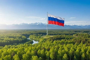 Воздух стал чище, леса — больше: Главные экологические победы России, которые вас удивят