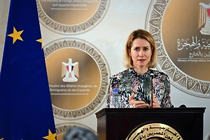 Каллас заявила, что НАТО развеет опасения США по вопросу безопасности Гренландии