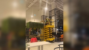 В московском ТЦ «Авиапарк» сняли защитные сетки после обвинений в гибели птиц