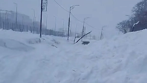 В центре Петропавловска-Камчатского сошла снежная лавина