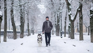 За нарушение правил выгула питомцев могут оштрафовать на сумму до 30 тыс. рублей