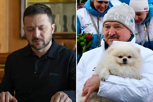 В Белоруссии заявили, что продавший Украину Зеленский имеет меньше прав, чем шпиц Лукашенко