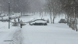 В Госдуме рассказали, при какой погоде не поставят прогул на работе