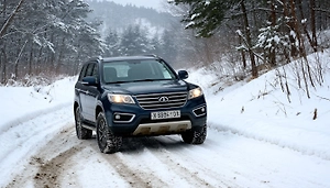 «Тактическая пауза»: Китайские бренды авто сменили приоритеты на российском рынке