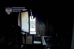 Более 20 человек могло находиться в хостеле в Балашихе в момент пожара