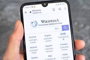 В Роскомнадзор не поступало требований о блокировке «Википедии»
