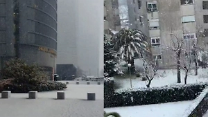 Бури со снегопадами терзают Испанию, введён максимальный уровень опасности