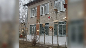 Массовое отравление в школе Тюменской области могло произойти из-за горохового супа